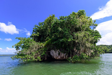Holidays in the Caribbean paradise: Samana,  Los Haitises National Park in the Dominican Republic;...