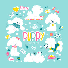Puppies set. Funny white little poodle dogs in a daily routine. Vector illustration.