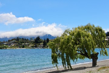 Wanaka