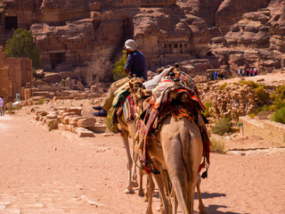 Man riding a camel along a desert road leading to a mountain full of temples carved into sandstone, historic monument, ruin in the desert of the historic site of Petra, Jordan