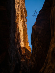 Orange walls of a canyon in the historic sight of Petra, Jordan, in the mountains of the desert under blue sky
