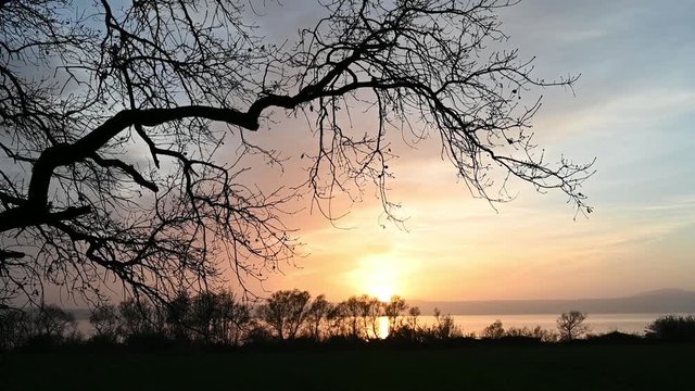 panoramica di lago al tramonto con sagome di alberi
