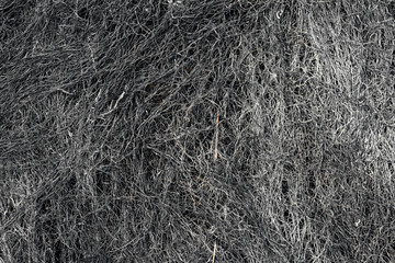 Burnt grass texture background top view.