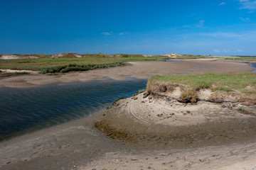 View to Het Zwin in Belgium
