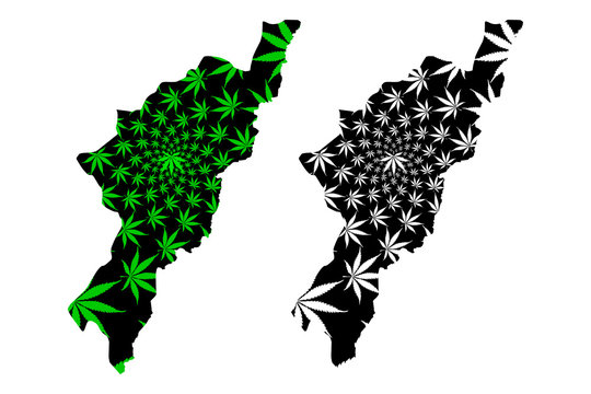 Map Of Adamawa State Nigeria Adamawa State (Subdivisions Of Nigeria, Federated State Of Nigeria) Map Is  Designed Cannabis Leaf Green And Black, Adamawa Map Made Of Marijuana  (Marihuana,Thc) Foliage.... Stock Vector | Adobe Stock