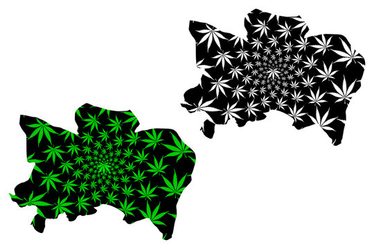 Benue State (Subdivisions of Nigeria, Federated state of Nigeria) map is designed cannabis leaf green and black, Benue map made of marijuana (marihuana,THC) foliage....