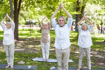Group of old people doing qigong exercise in the park - obrazy, fototapety, plakaty