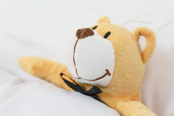 teddy bear on an empty clean bed