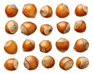 Set of hazelnuts isolated on white background
