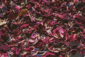 Flower petals background. Close up view of rose and lavender dried petals with selective focus. 