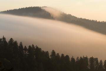 A cloud bank rolling over a mountain ridge at dawn in the Great Smokey Mountains National Park.