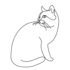 Continuous line drawing. Cat. Vector illustration. In black colour isolated on white background.