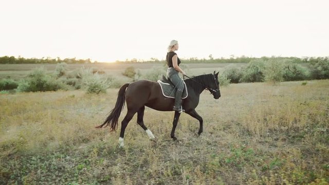 Young woman riding horse in slow motion on green field. Autumn season. Concept of farm animals, training, horse racing, nature