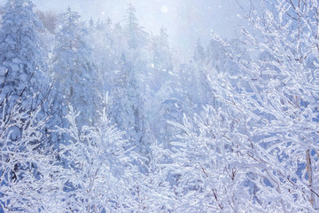 ダイヤモンドダスト