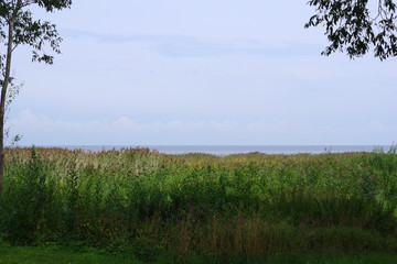 Obraz premium Rives du lac Peipsi