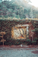 A Window on a wall covered in vegetation