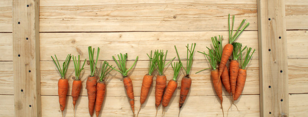 Orange sweet carrots lie on a light wooden background