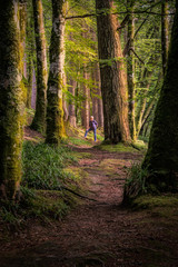 Woman standing in a beautifully lit forest in Glencoe, Scotland.