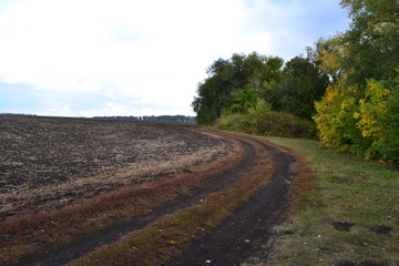 road in the countryside