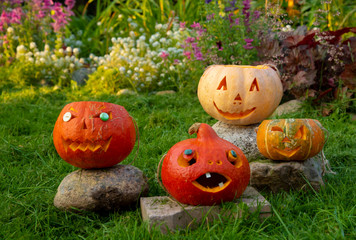 Four smiling Halloween pumpkins stand on rocks