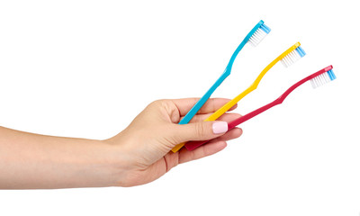 Hand with three colored toothbrushes, dental care and freshness.