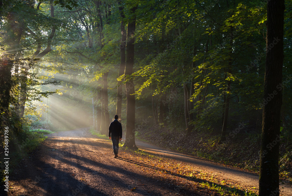 Wall mural man walking in a lane with the sunlight breaking through the trees.
