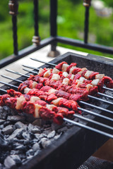 Arabic Meat grill on coal outdoor | Mashawi Kabab