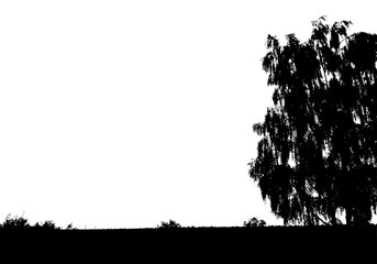 Black tree forest silhouette. Card with copy space. Isolated on white background. Vector nature illustration