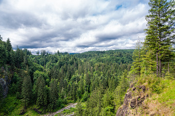 Obraz premium Evergreen Vista in Washington near Snoqualmie Falls