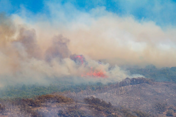 Mountain Wildfire
