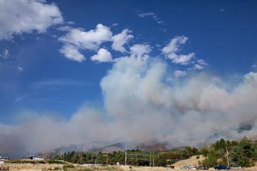 Mountain Wildfire