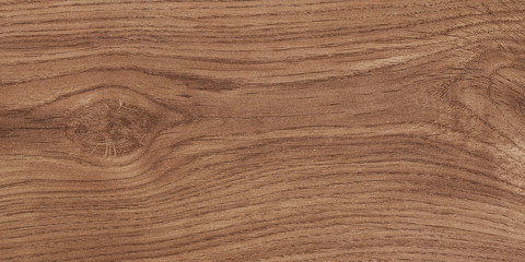 Fototapeta premium The Laminated coating structure in the form of wood in color. Design for posters, banners, covers, inscriptions and other things