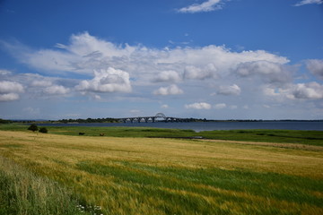 view with bridge in denmark