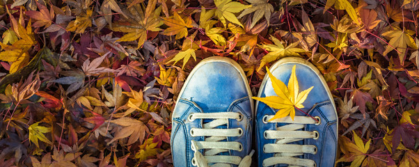 Autumn season in hipster style shoes