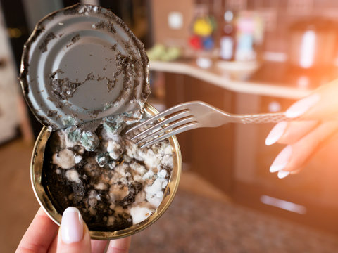 Expired Canned Fish In A Woman's Hand Close-up