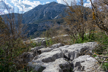 Fototapeta na wymiar Types of the nature. The Parc Naturel Régional (PNR) des Préalpes d’Azur.