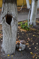 Hollow in a tree 2 Vertical Photography