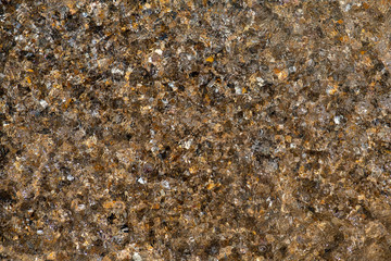 Sea shore with shells, covered with choppy water.  Sea shell