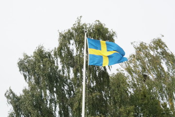 Sweden Flag with trees