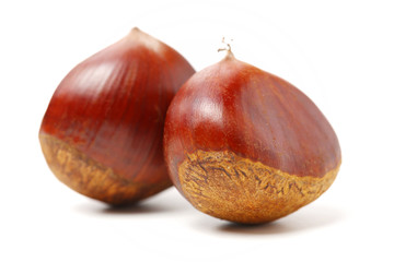 Obraz premium Sweet chestnut on white background