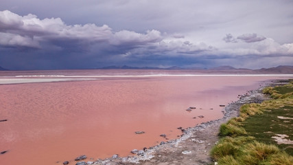 Natural pink colored lake, with mountain in view