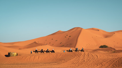 Fototapeta na wymiar The beautiful golden sand dunes of Merzouga, Morocco