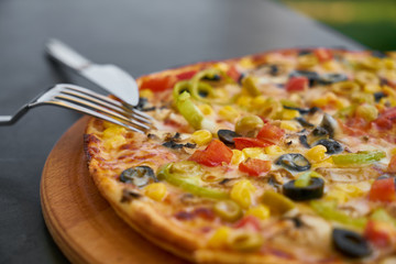Delicious fresh vegetarian Italian pizza