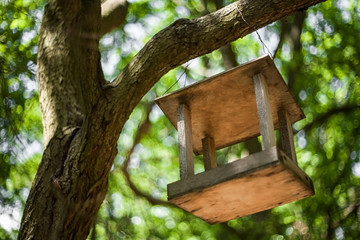Old birdfeeder on a tree in the park. People helping animals to survive in harsh winters