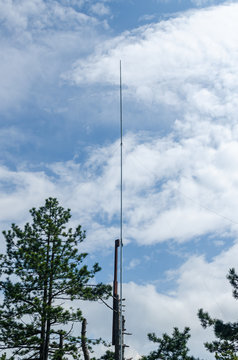 Lightning rod and coniferous tree top against blue sky with white clouds
