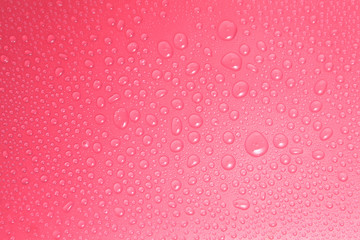 Close up water drops on pink background, Water drop in macro photography
