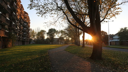 Obraz premium beautiful afternoon walk in the village of Oudorp in the Netherlands