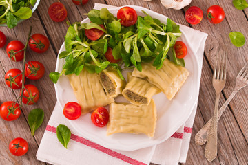 Maultaschen - swabian filled pasta ( ravioli ).