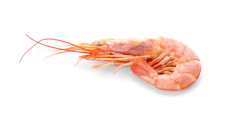 Tasty shrimp on white background