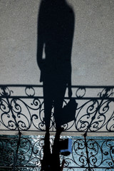 Shadow of a person and Railing on Waterfront Holding Shopping Bag in Switzerland.